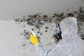 Best Comprehensive Air Testing for Mold Contaminants  in Dalhart, TX